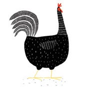 Image of Black Hen