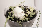 Image of Under The Blooms