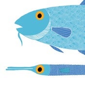 Image of British Fish