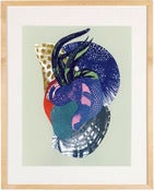 Image of Curiosities No. 17