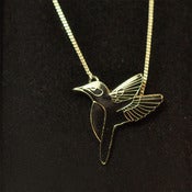 Image of Black Hummingbird