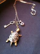 Image of NEW! - I Like Turtles