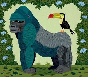 Image of The Gorilla and The Toucan - Limited Edition Print