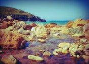 Image of Beach