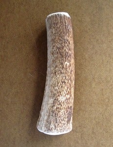 Image of SMALL Elk Antler Chew Toy