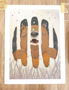 Image of Grizzly Bear