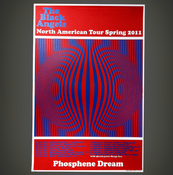 Image of Spring 2011 Tour Poster