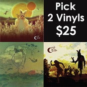 Image of 2 Vinyl Package