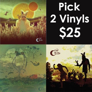Image of 2 Vinyl Package