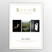 Image of Nature Boys