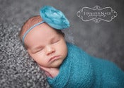 Image of Baby Backdrop - Platinum