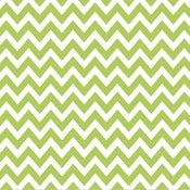 Image of The Kiwi Green Chevron Backdrop