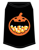 Image of Pumpkin