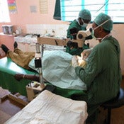 Image of Cataract Operation