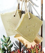 Image of Daisy Hardcastle  soap on a rope