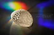 Image of dentelle pebble