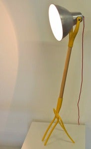 Image of Forking Light