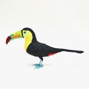 Image of KEEL BILLED TOUCAN