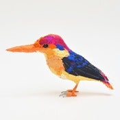 Image of ORIENTAL DWARF KINGFISHER