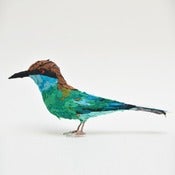 Image of BLUE THROATED BEE EATER