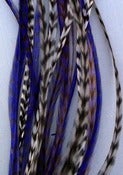 Image of Purple and Violet Mix