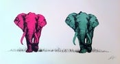 Image of LDP elephants
