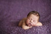 Image of Baby Backdrop - Iris