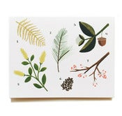 Image of Carte "Herbier" RIFLE PAPER CO