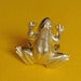 Image of Frog Ring, I Kissed a Prince!