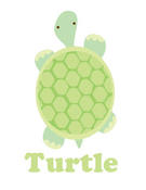 Image of turtle