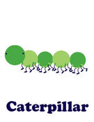 Image of caterpillar