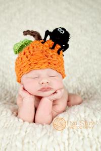 Image of Pumpkin Surprise