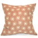 Deer Valley funky cushion