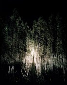 Image of Lightyears #8 (Vincent Skoglund)