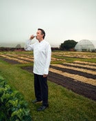 Image of Thomas Keller