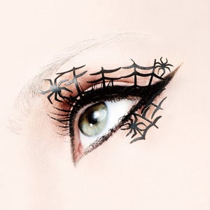 Image of Spider