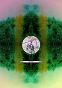 Image of Forever Forest