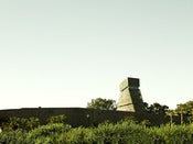 Image of DeYoung Museum