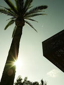 Image of DeYoung Museum 2