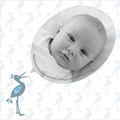 Image of "Stork" birth announcement card