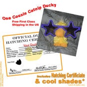Image of Cousin Catnip Ducky