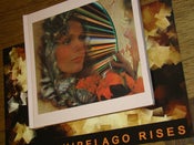 Image of Eksi Ekso - Brown Shark Red Lion CD