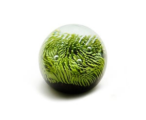 Image of Turf Paperweight