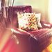 Orchard Trees funky cushion