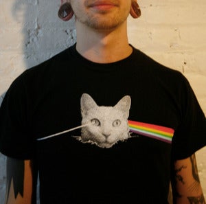 Image of DARK SIDE OF THE KITTY