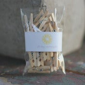Image of Tiny Clothespins 