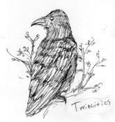 Image of Twincities "Twincities" CD