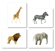 Image of Animals: Safari Set of 4