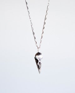 Image of Raven Skull Necklace