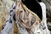 Image 4of Bella (Available colors)